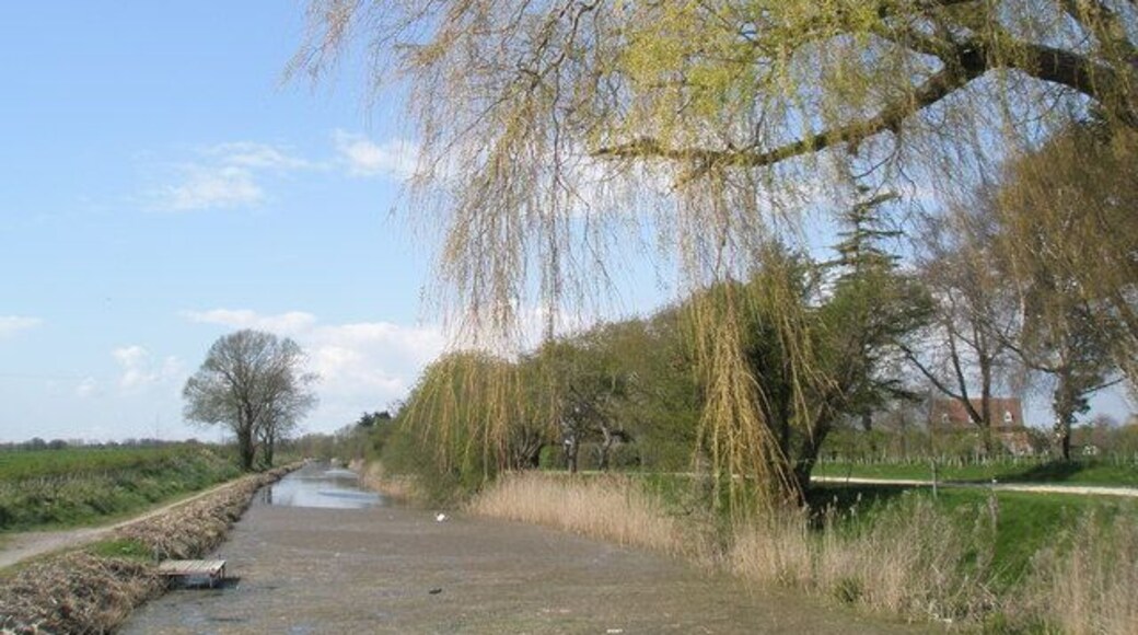 View along 3rd section of the Chichester Canal