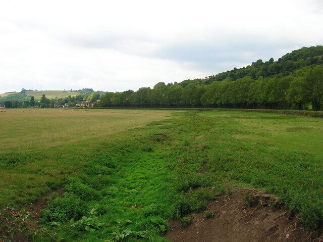 A grassy field with a dirt path leading to a forested hill.