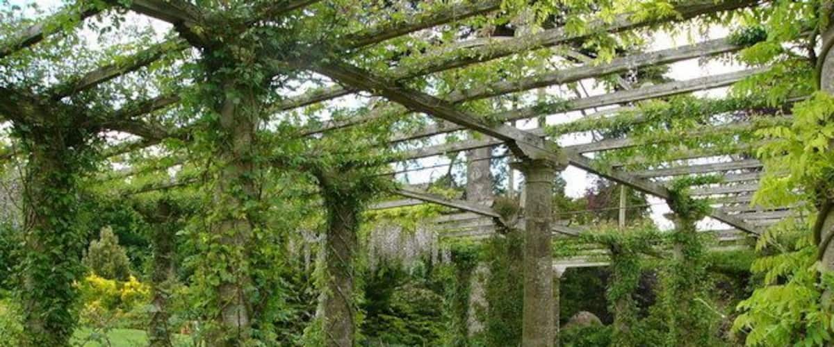 Ein üppiger Garten mit einer Pergola, verschiedenen Pflanzen und einer Steinmauer.