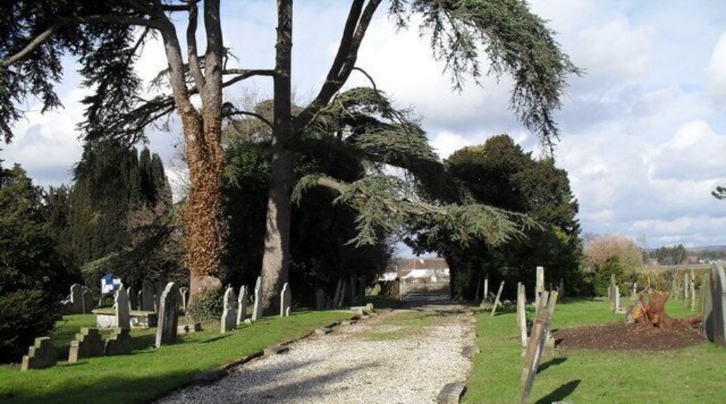 Churchyard at St Mary, Aldingbourne (2)