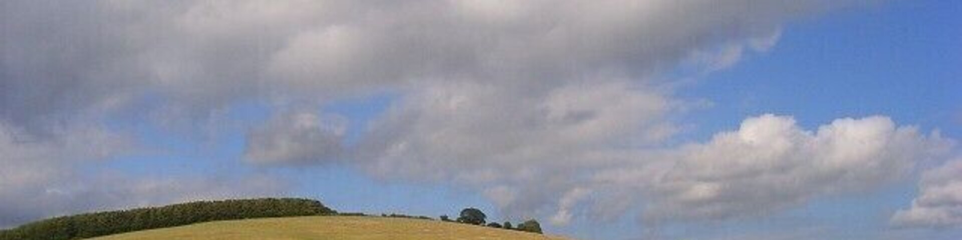 Un campo cubierto de hierba con un rebaño de ovejas, colinas onduladas y un cielo parcialmente nublado.