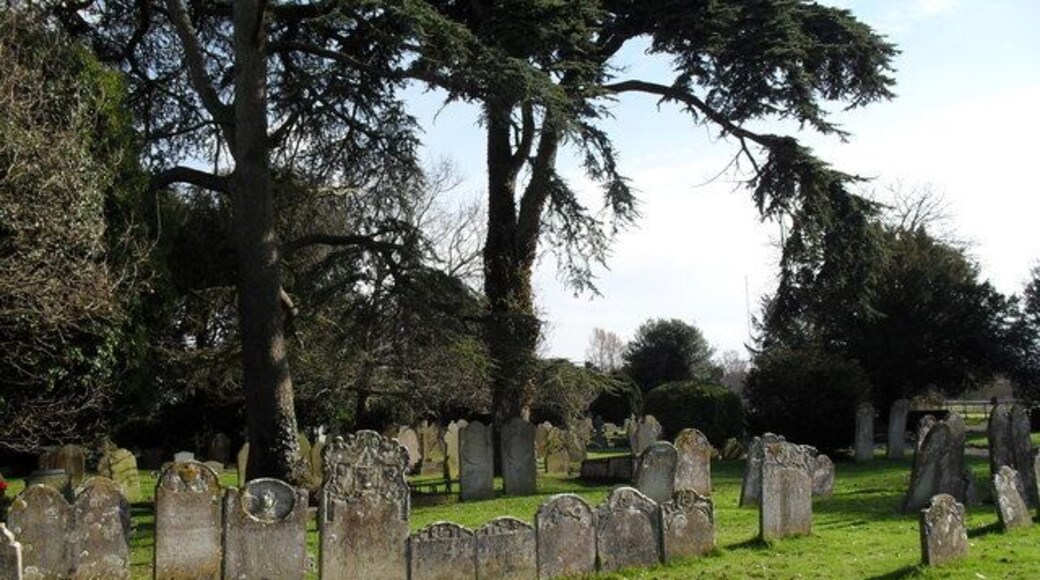 Churchyard at St Mary, Aldingbourne (6)