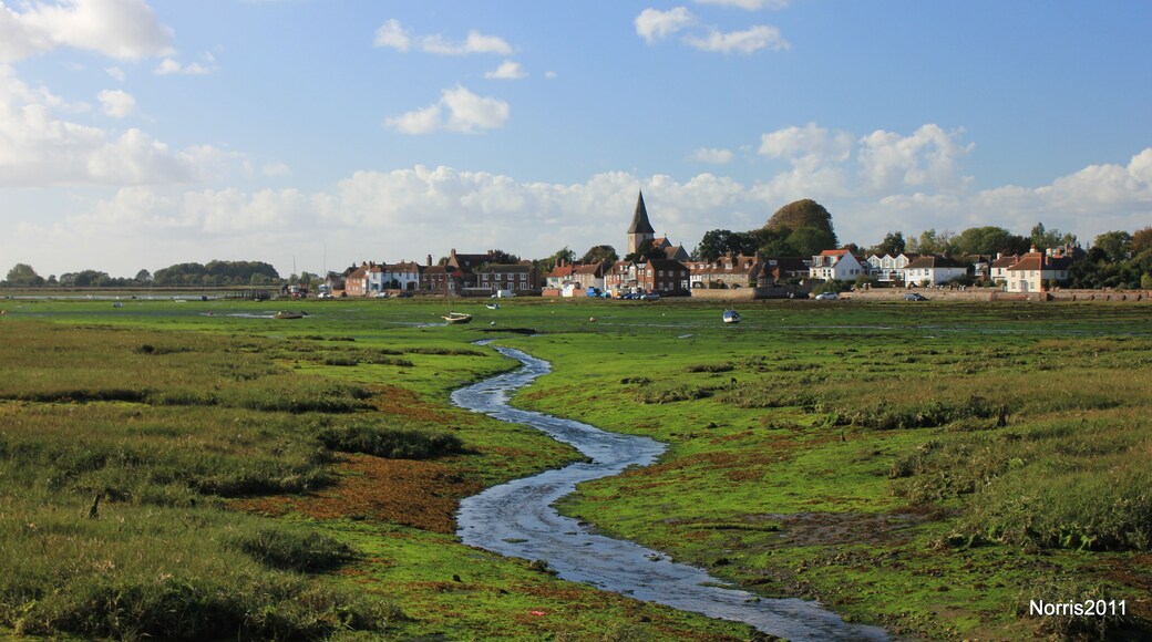 How Green Was My Valley?