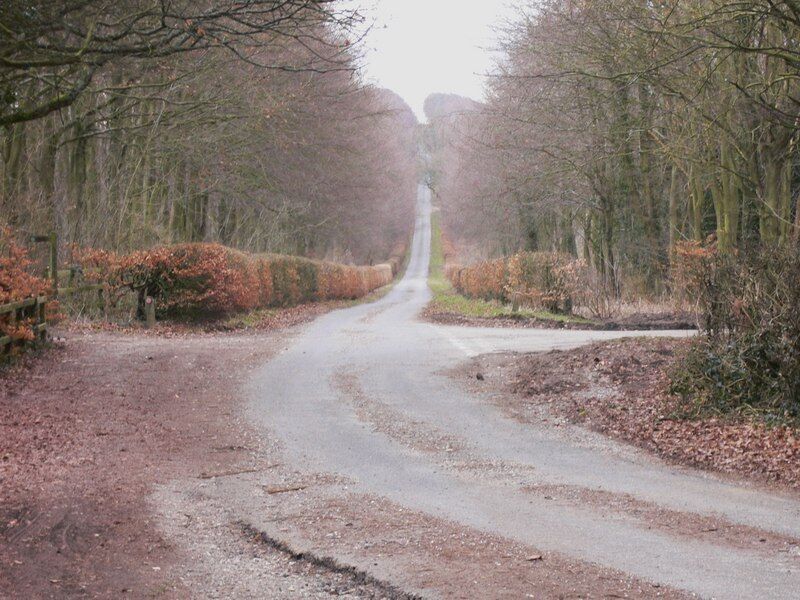 Long straight lane on the Chalk Stones Trail Information on the Trail can be found at http://www.vic.org.uk/pro/pdfs/chalks%20stones.pdf .