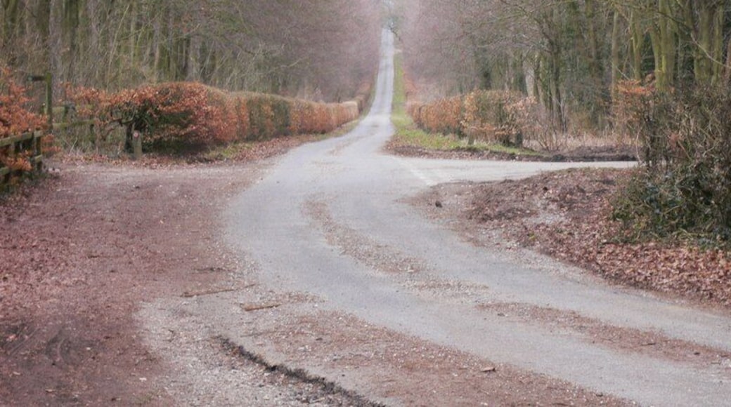 Long straight lane on the Chalk Stones Trail Information on the Trail can be found at http://www.vic.org.uk/pro/pdfs/chalks%20stones.pdf .