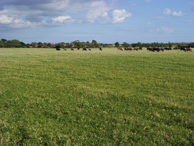 Looking over fields to Westerton From the Levant Straight looking over fields to Westerton