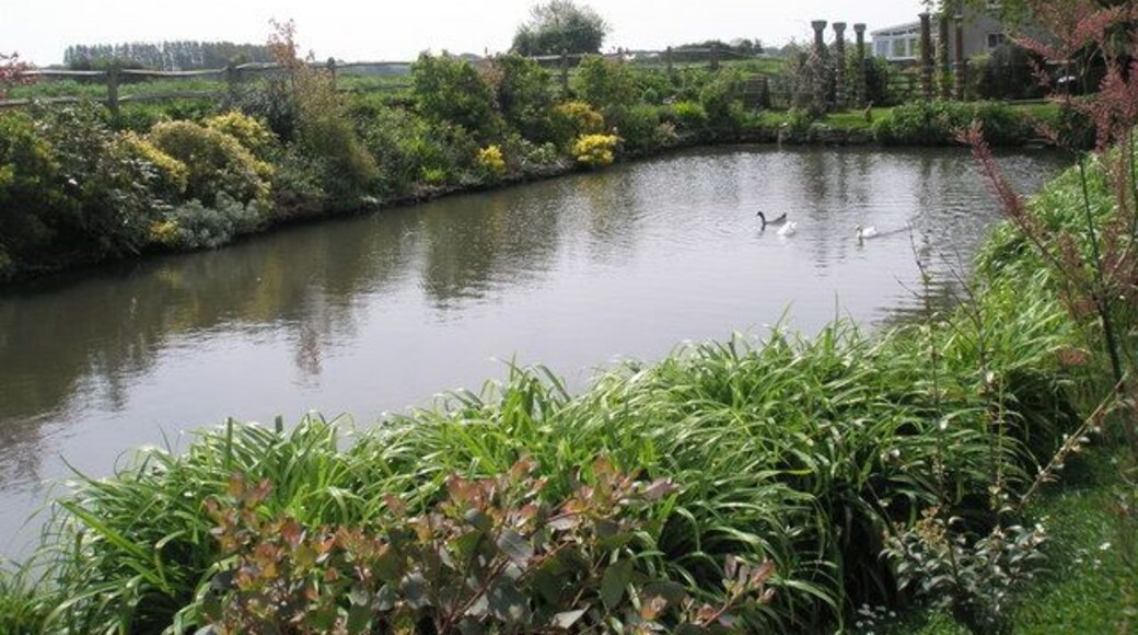Lovely pond at Bridge Farm