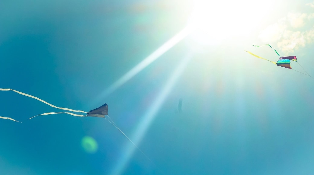 A beautiful sunny day on a sandy family beach