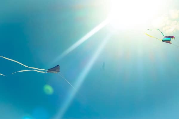 Deux cerfs-volants qui volent dans un ciel bleu dégagé, baignés par la lumière du soleil.