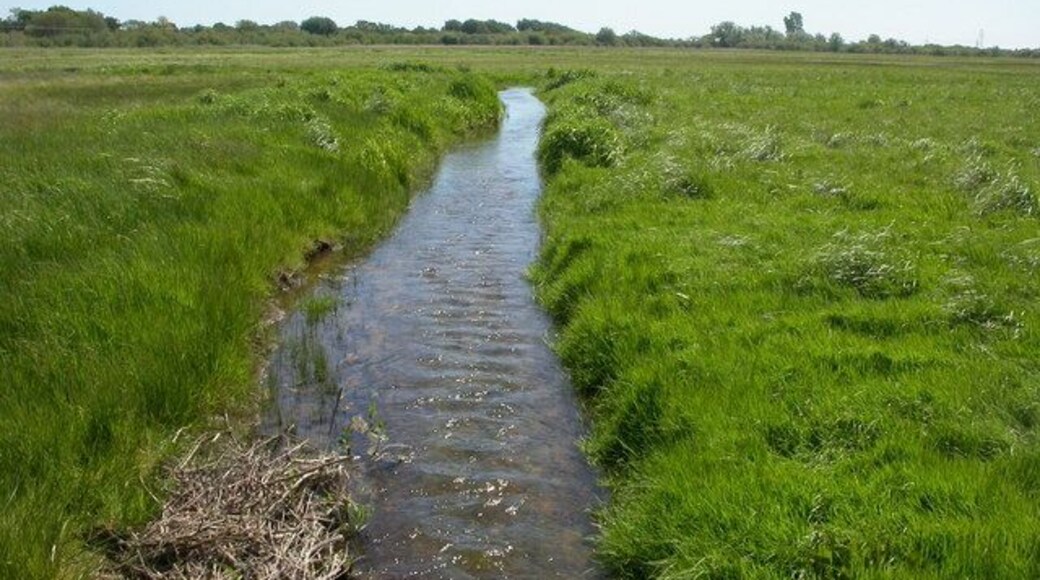 Ogber, stream. Stream on 1314812; marked on OS as a drain, it appears to be flowing too fast to be one. Appears to leave the Avon North of Dudmoor Farm, and rejoin it further South.