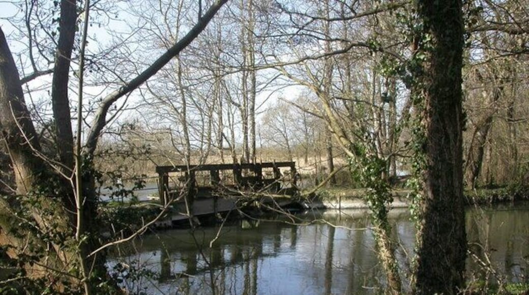 Burton, sluice. Sluice controlling flow of water from the Avon (background) into 1216048 (foreground).