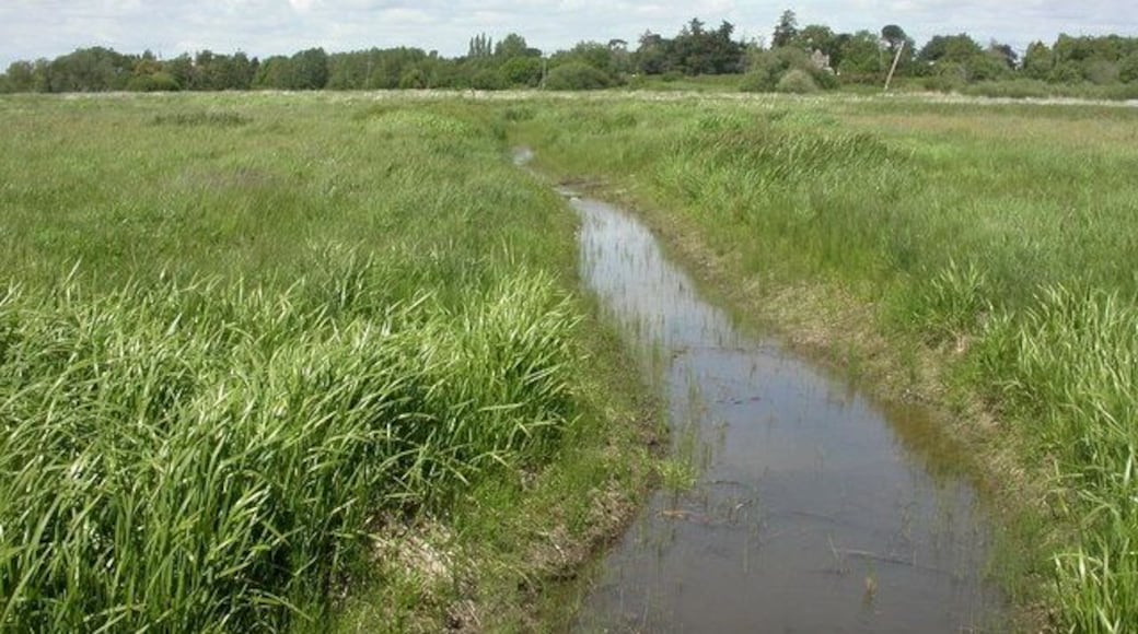 Ogber, ditch. Drainage ditch on 1314812; houses on Salisbury Road visible in the distance.