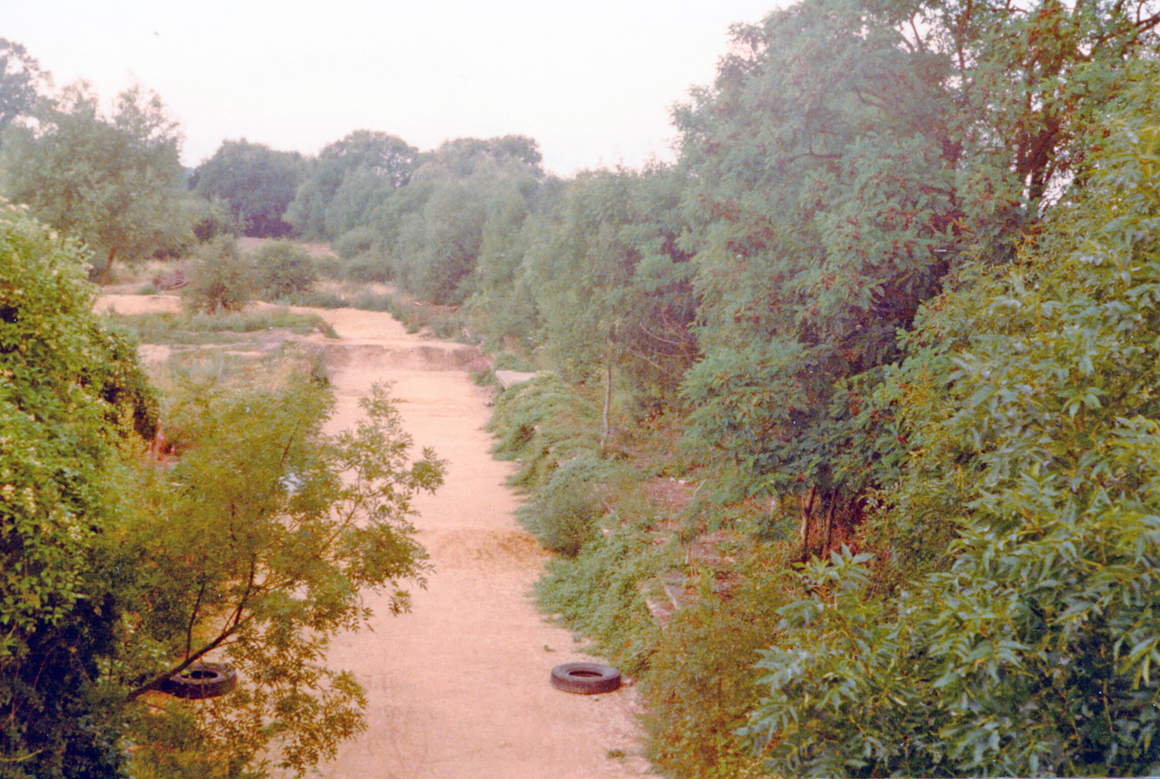 Site of former South Cerney station, 1984. View NW, towards Cirencester and Cheltenham: ex-Midland & Great Western Joint Line, Cheltenham - Swindon - Marlborough - Andover Junction. Most of the line and its stations were closed 11/9/61, but remained open to goods Swindon - Cirencester until 7/9/64.