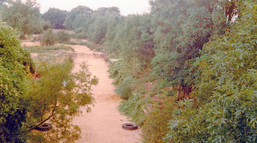 Site of former South Cerney station, 1984. View NW, towards Cirencester and Cheltenham: ex-Midland & Great Western Joint Line, Cheltenham - Swindon - Marlborough - Andover Junction. Most of the line and its stations were closed 11/9/61, but remained open to goods Swindon - Cirencester until 7/9/64.