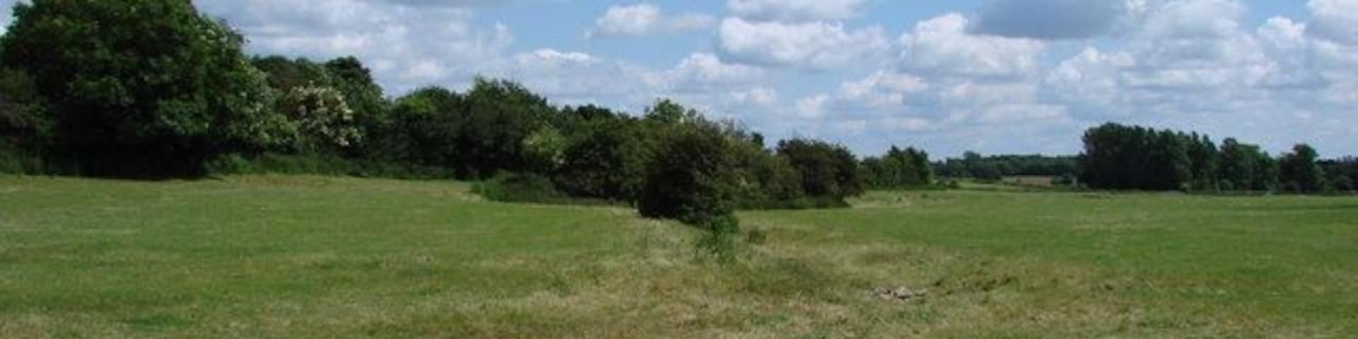 Dormant Thames in late spring