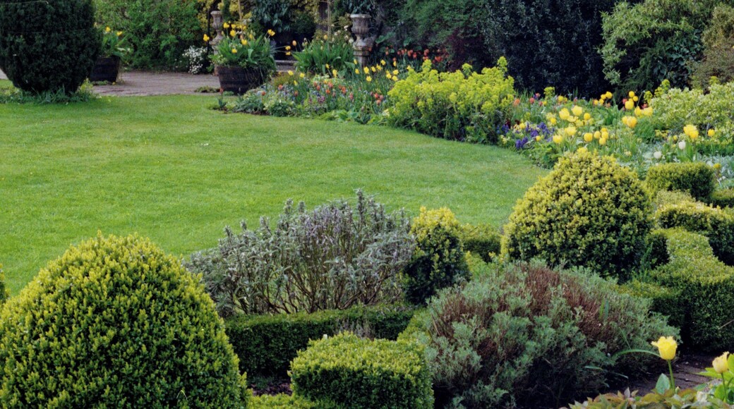 1992 Spring photograph from the gardens at the west of Barnsley House, at the time Rosemary Verey was in residence and directly caring for the garden. Processing: SLR camera Kodak Gold ASA 200-2 film negative scanned with an Epson Perfection V800 using SilverFast 8 scan program, and optimized, cropped and spun with DxO OpticsPro 10 Elite and Adobe Photoshop CS2.