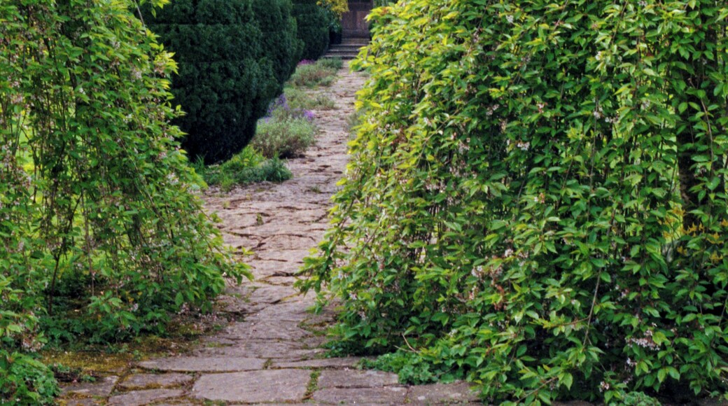 1992 Spring photograph along a path from the gardens at the east towards Barnsley House, at the time Rosemary Verey was in residence and directly caring for the garden. Processing: SLR camera Kodak Gold ASA 200-2 film negative scanned with an Epson Perfection V800 using SilverFast 8 scan program, and optimized, cropped and spun with DxO OpticsPro 10 Elite and Adobe Photoshop CS2.