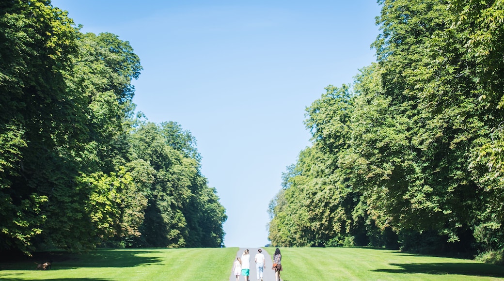 Family Walk together at Cirencester park in summer