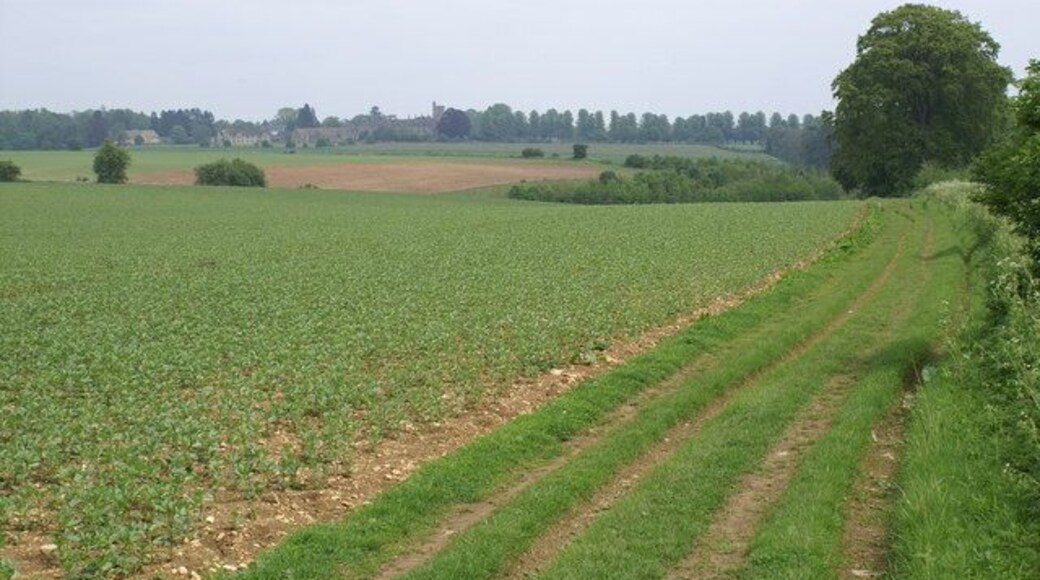 Monarch's Way near Cirencester. This LDP follows the flight of Charles 11 after his defeat at Worcester. The Royal Agricultural College can be seen on the skyline.