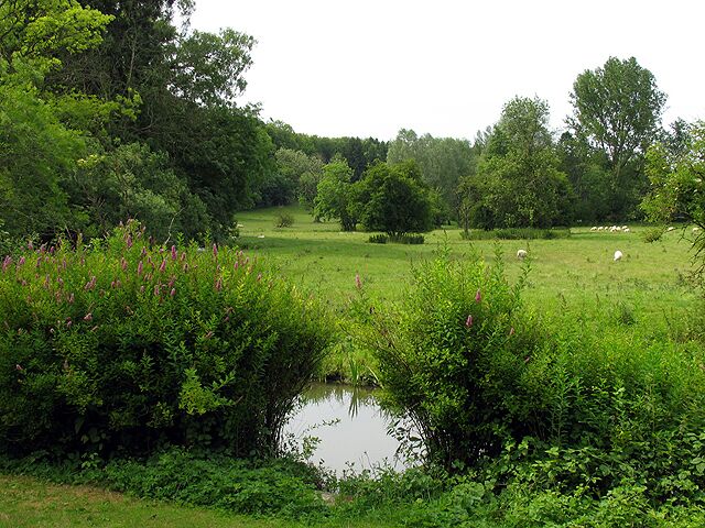 Farmland near Quenington. This square consists of farmland and the village of Quenington. This view is from the byway, looking into the north western section of the square.