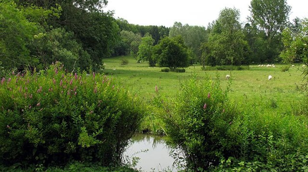 Farmland near Quenington. This square consists of farmland and the village of Quenington. This view is from the byway, looking into the north western section of the square.