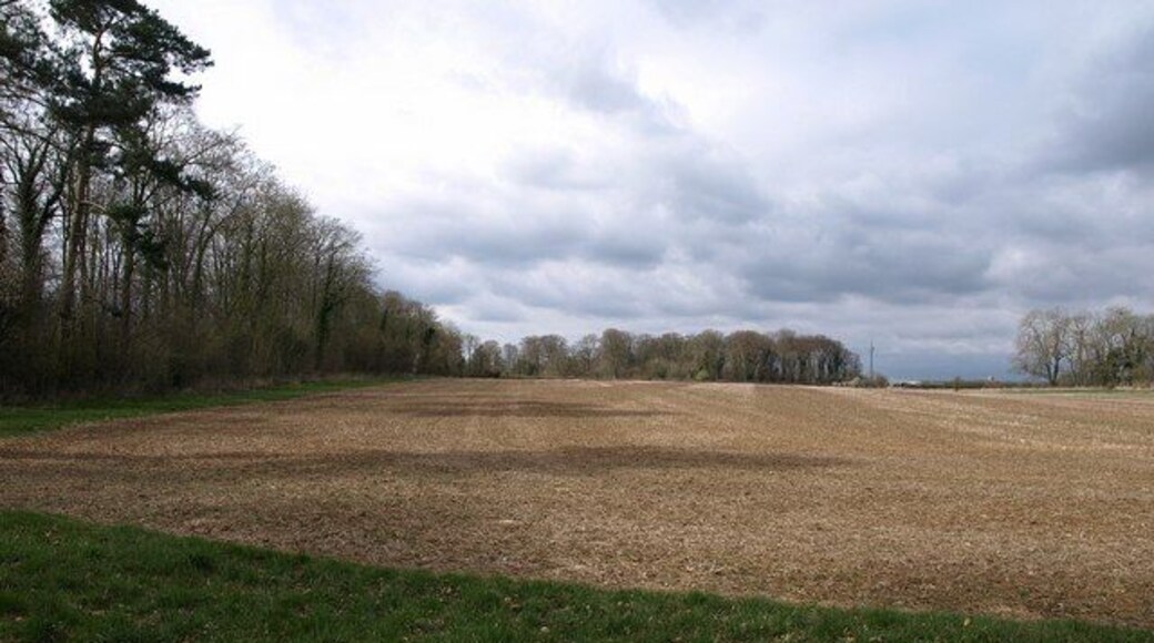 Field by the Monarch's Way Weak shadows cast during a brief spell of sunshine by a shelter belt of trees.