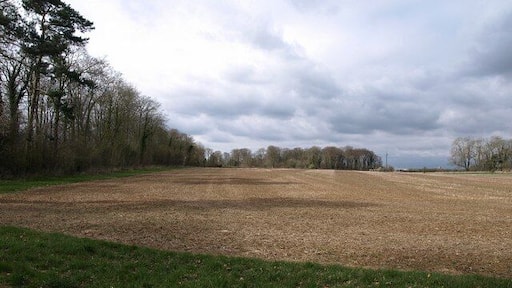 Field by the Monarch's Way Weak shadows cast during a brief spell of sunshine by a shelter belt of trees.