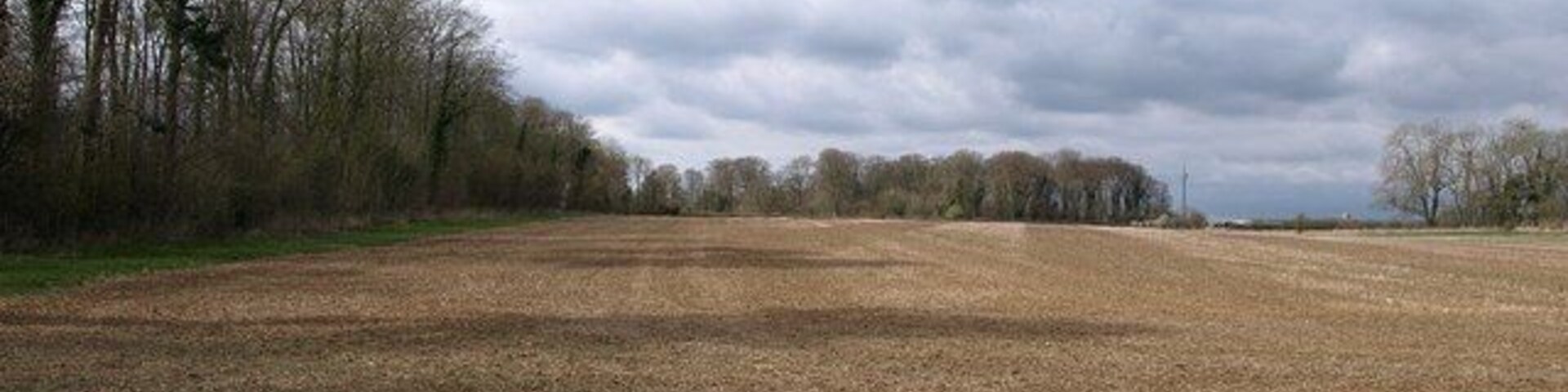 Field by the Monarch's Way Weak shadows cast during a brief spell of sunshine by a shelter belt of trees.