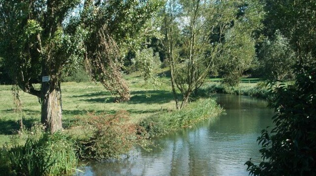 River Coln, near to Coln st Aldwyns, Gloucestershire, Great Britain.