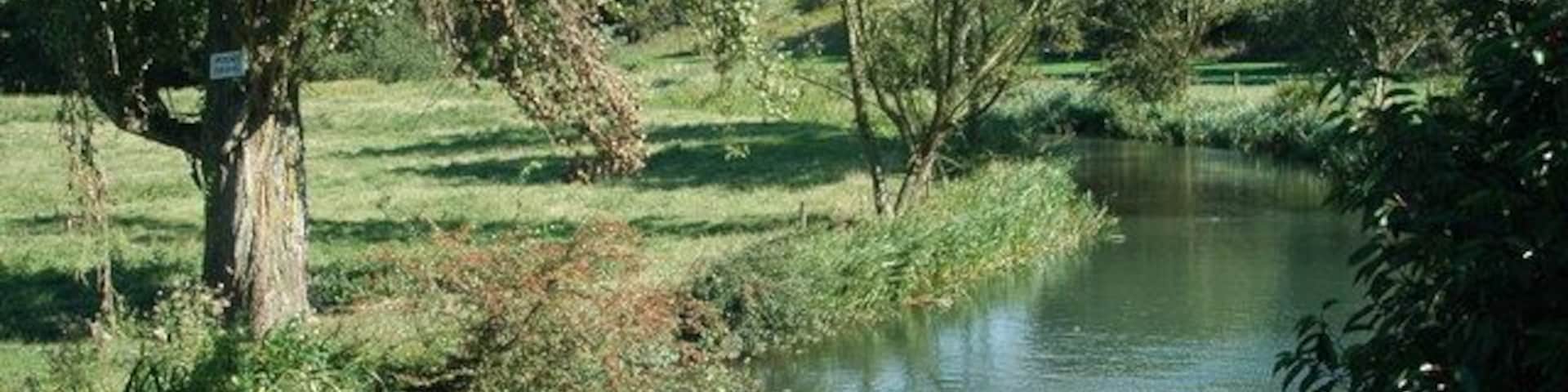 River Coln, near to Coln st Aldwyns, Gloucestershire, Great Britain.