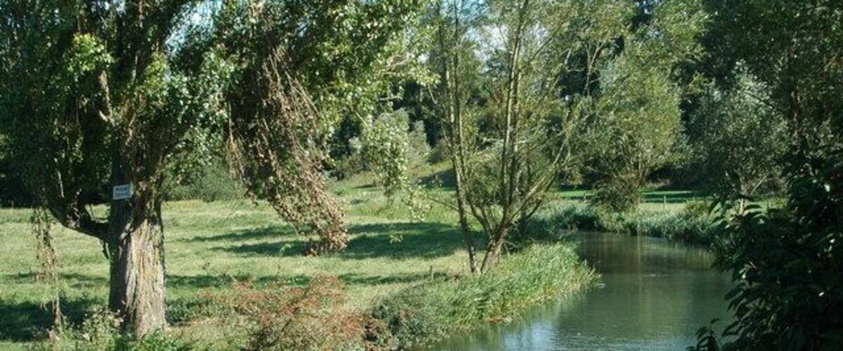 A calm river with trees and grassy banks.