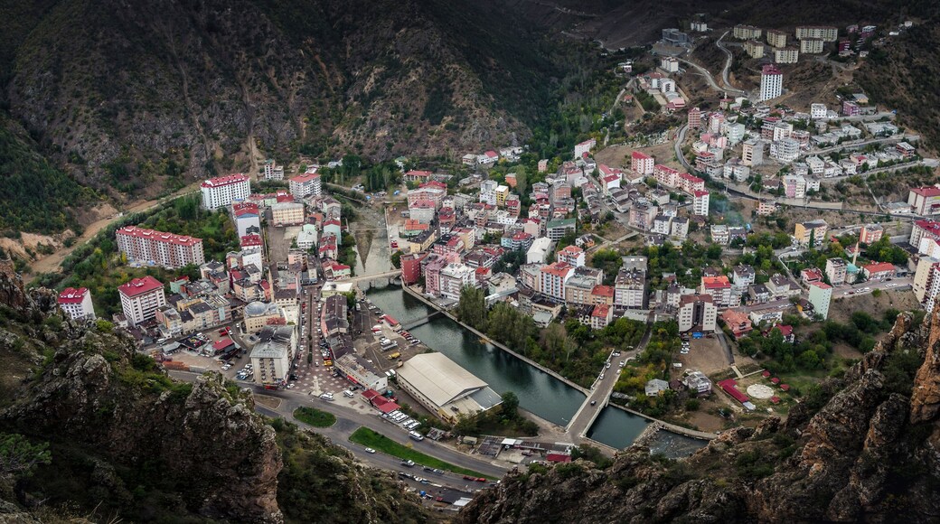 Torul is a town and district of Gümüşhane Province in the Black Sea region of Turkey.