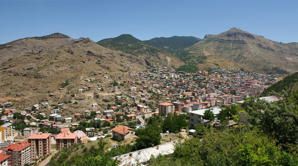 Gumushane City Center in Turkey.