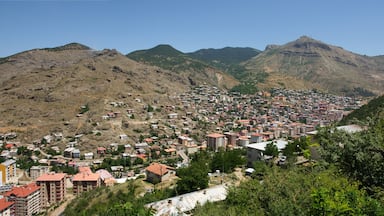 A town nestled in a valley with mountains in the background.