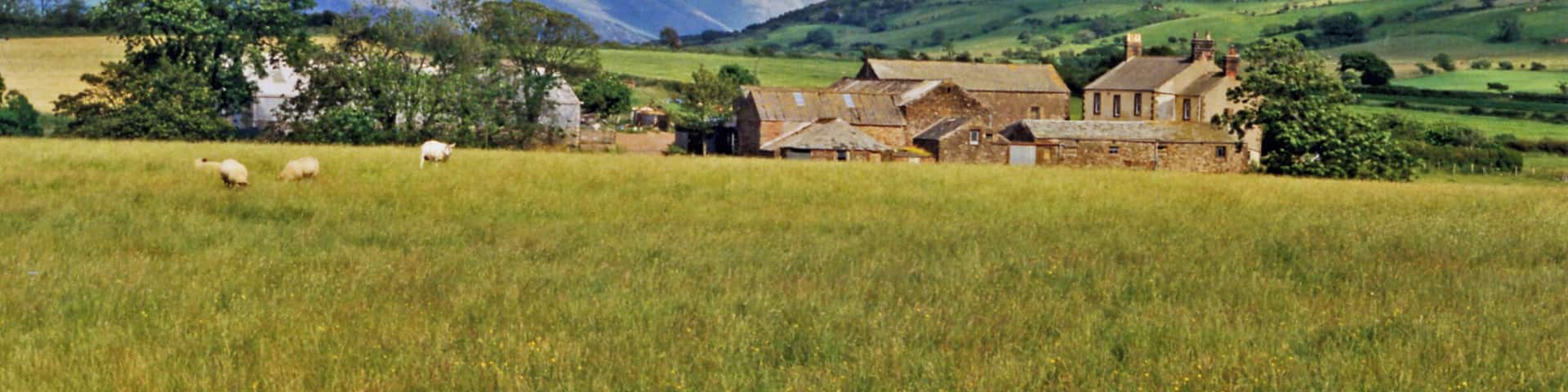 Eastward towards Ennerdale from near Cleator Moor. A fine panorama of the mountains around Ennerdale, seen from just off the B5294 Cleator - Frizington road at Threapthwaite. To the left is Murton Fell (1,461 ft.), Blake Fell (1,626 ft.), then Great Borne (2,018 ft.) and Starling Dodd (2,077 ft.) shining in sunlight NE of Ennerdale Water, while rather nearer on the right is Grike (1,556 ft.) joined to the Ennerdale Fells which line the south side of Ennerdale Water.