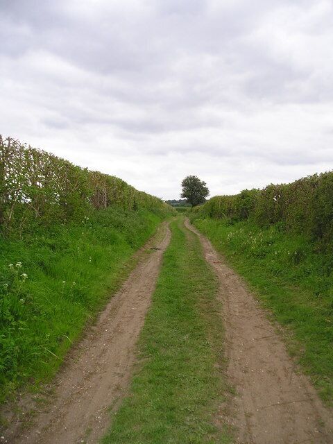Lane at Higham Looking up the lane towards Wasses Farm from the footpath which leads towards Higham village from the River Stour.