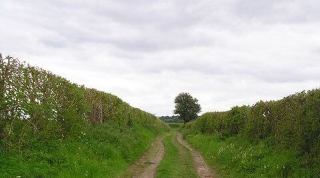 Lane at Higham Looking up the lane towards Wasses Farm from the footpath which leads towards Higham village from the River Stour.