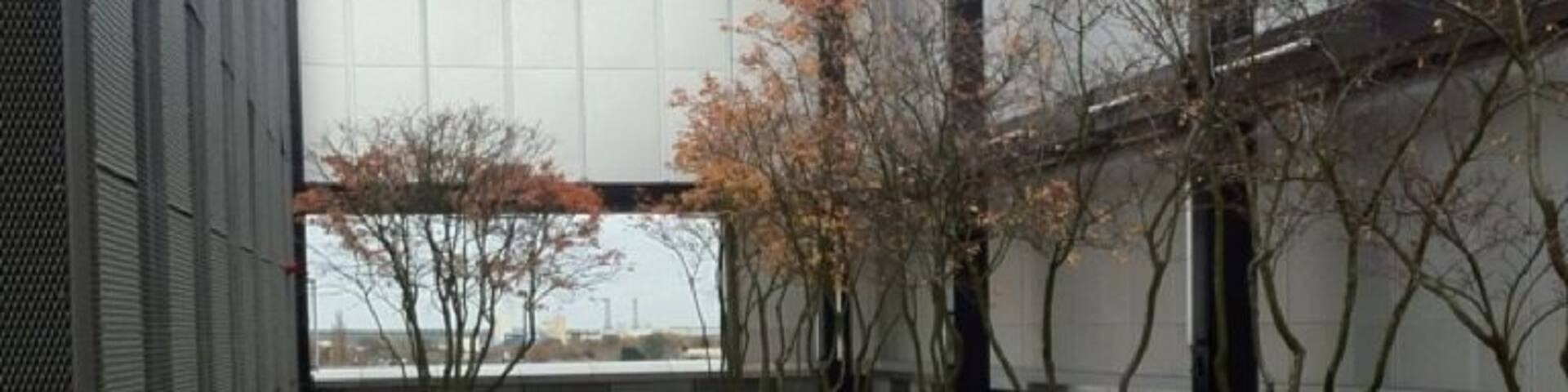 Up on the roof of the Corby Cube