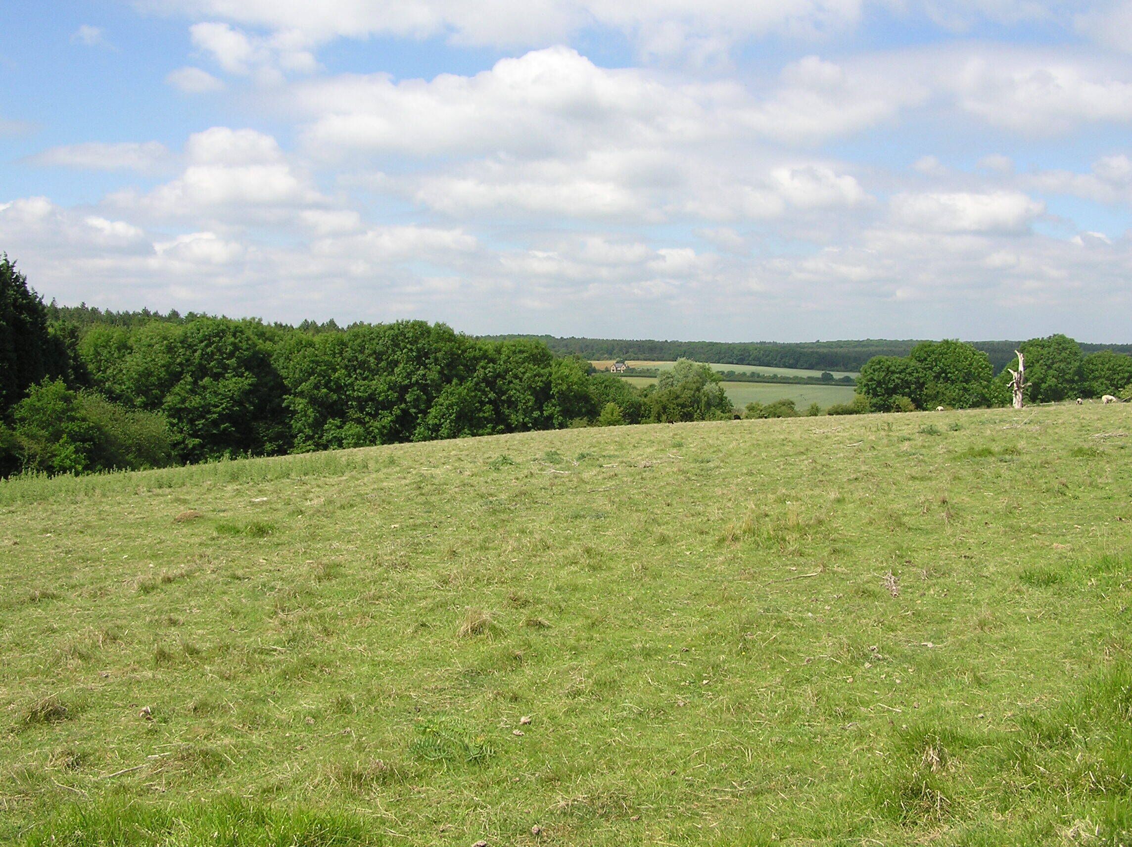 Across the valley from Fineshade Woods