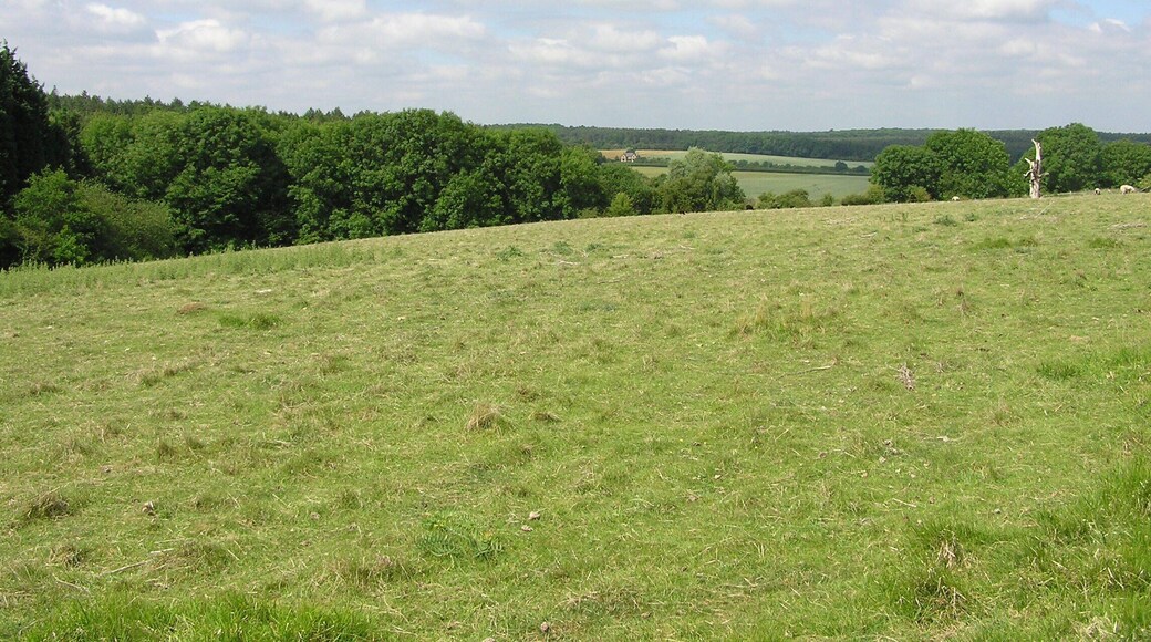 Across the valley from Fineshade Woods
