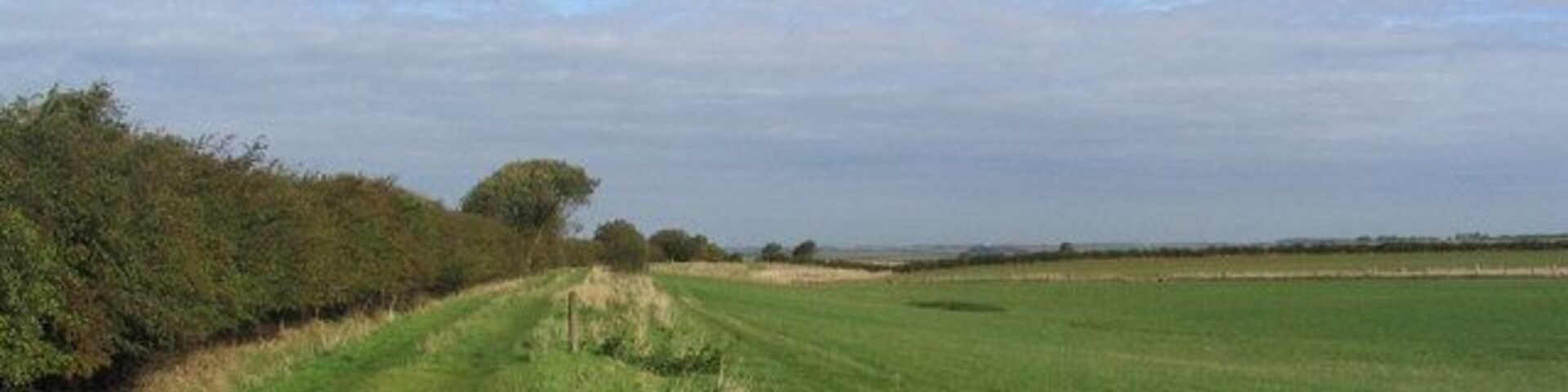 Track north-east from Gretton The level of the ground being slightly lowered to the right of the track suggests this area may have been stripped for ironstone