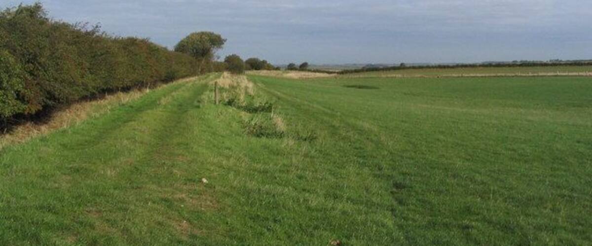 A rural landscape with a grassy field, a hedge, and a tree in the distance.