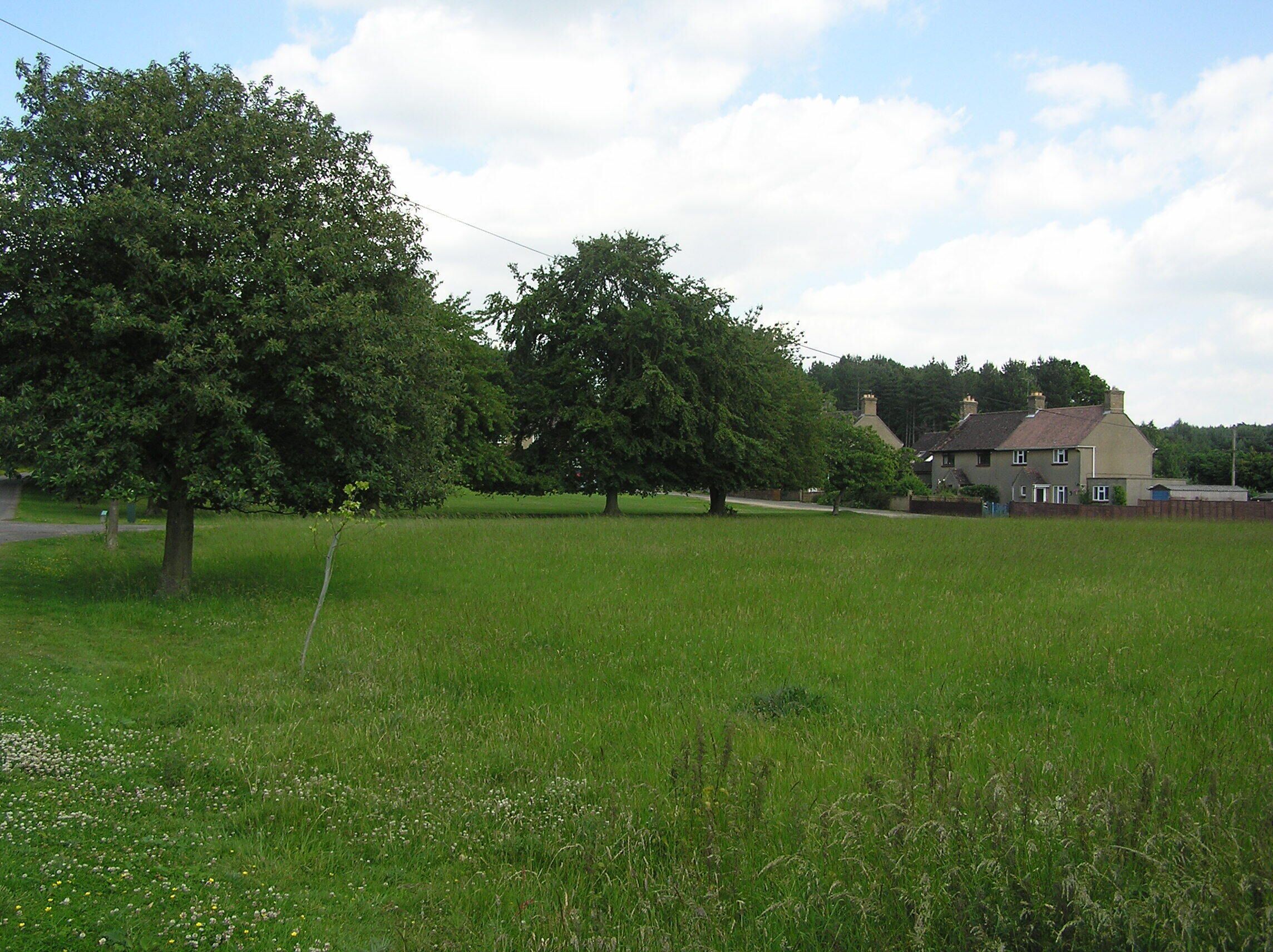 A grassy field with large trees and a house in the background.