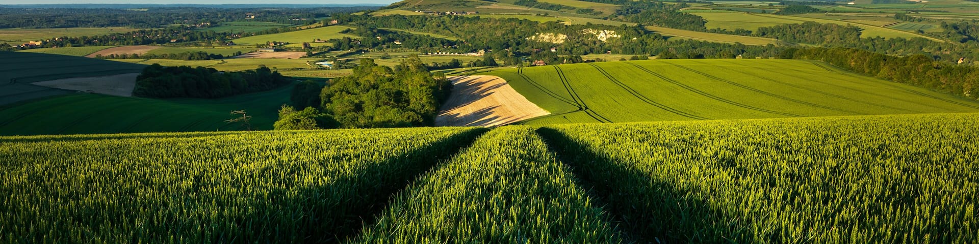 View across Amberley on the South Downs Way, West Sussex, England.