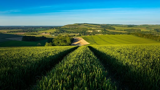 View across Amberley on the South Downs Way, West Sussex, England.