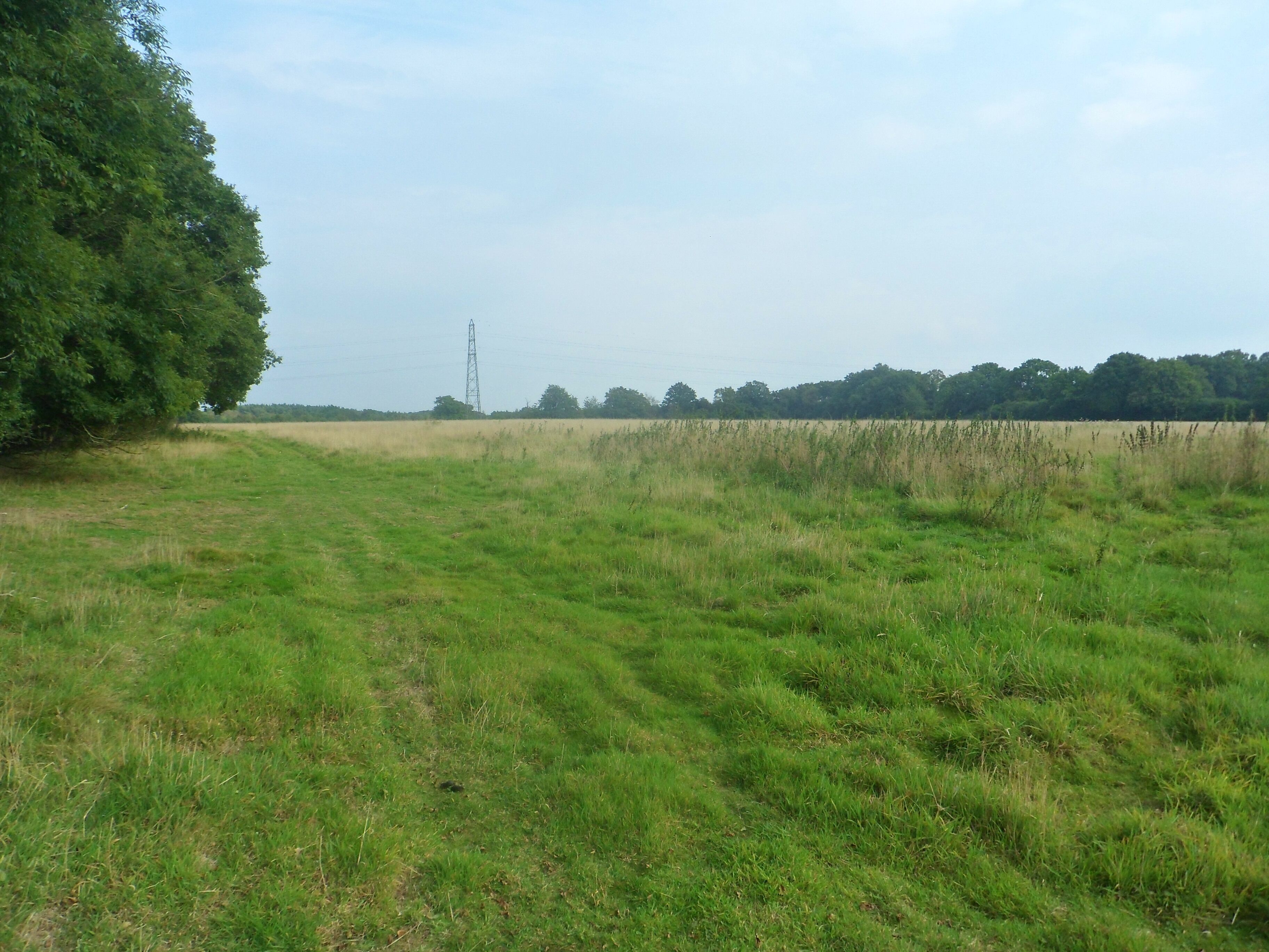 One of a series of photos chronicling the development of Crawley New Town's 14th residential neighbourhood, Forge Wood. This view shows a large field on the south side of the public footpath leading from Balcombe Road (opposite the Steers Lane junction) past Toovies Farm, across the M23 and eventually to Copthorne. This land will be developed with housing as part of Phase 2 of the Forge Wood neighbourhood.