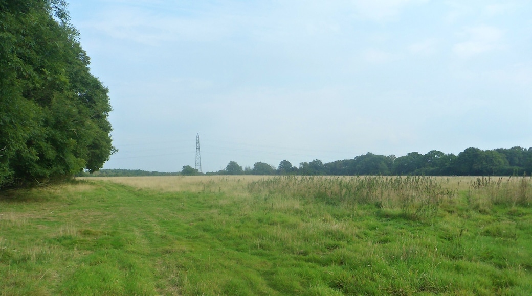 One of a series of photos chronicling the development of Crawley New Town's 14th residential neighbourhood, Forge Wood. This view shows a large field on the south side of the public footpath leading from Balcombe Road (opposite the Steers Lane junction) past Toovies Farm, across the M23 and eventually to Copthorne. This land will be developed with housing as part of Phase 2 of the Forge Wood neighbourhood.