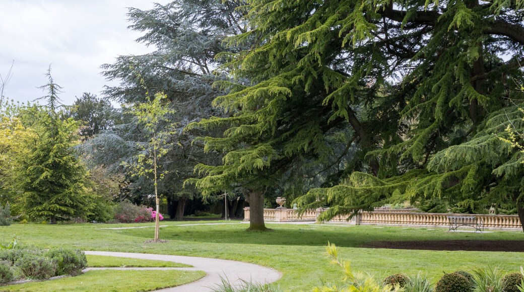 Early Spring Day AT Worth Park Crawley West Sussex UK