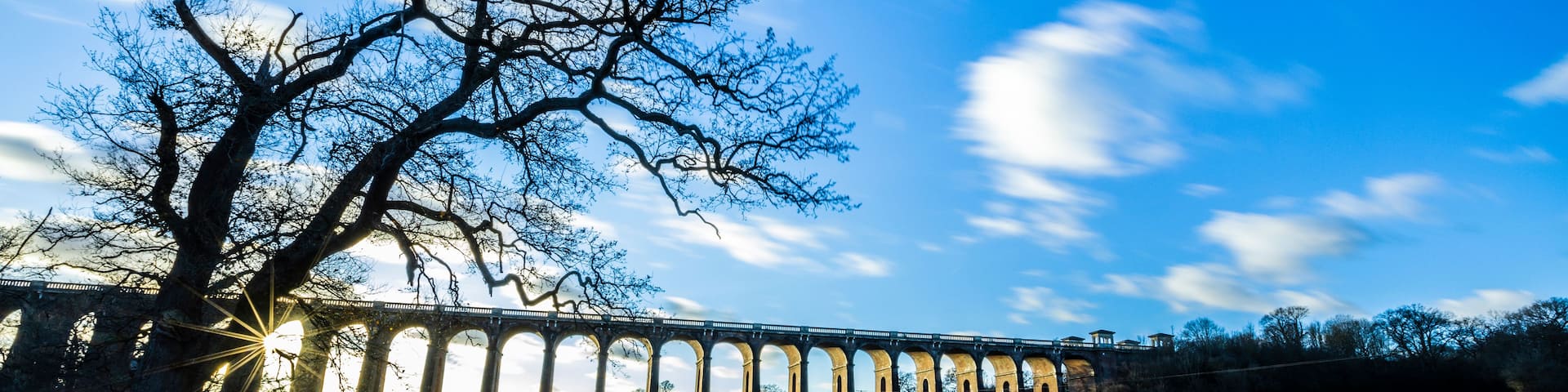 A large tree with bare branches, a grassy field, and a stone bridge in the background.