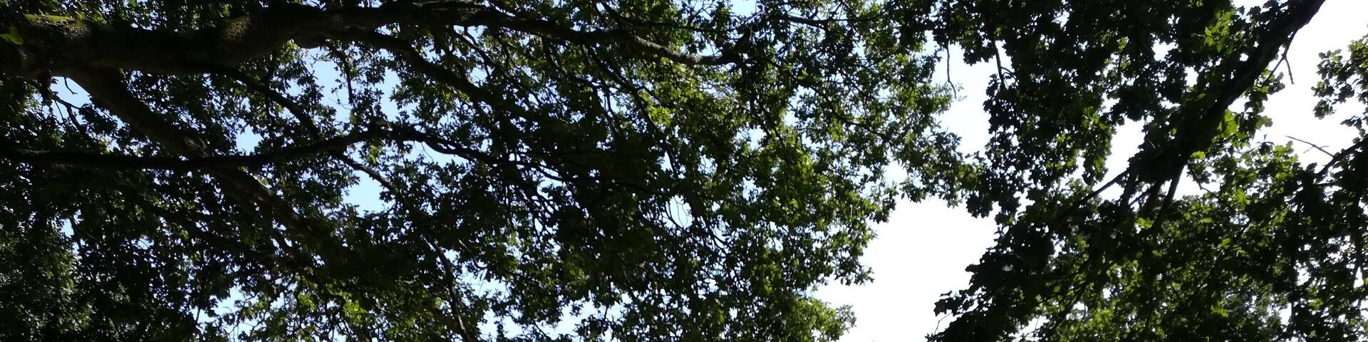 Beautiful park, perfect for picnics with family & friends!